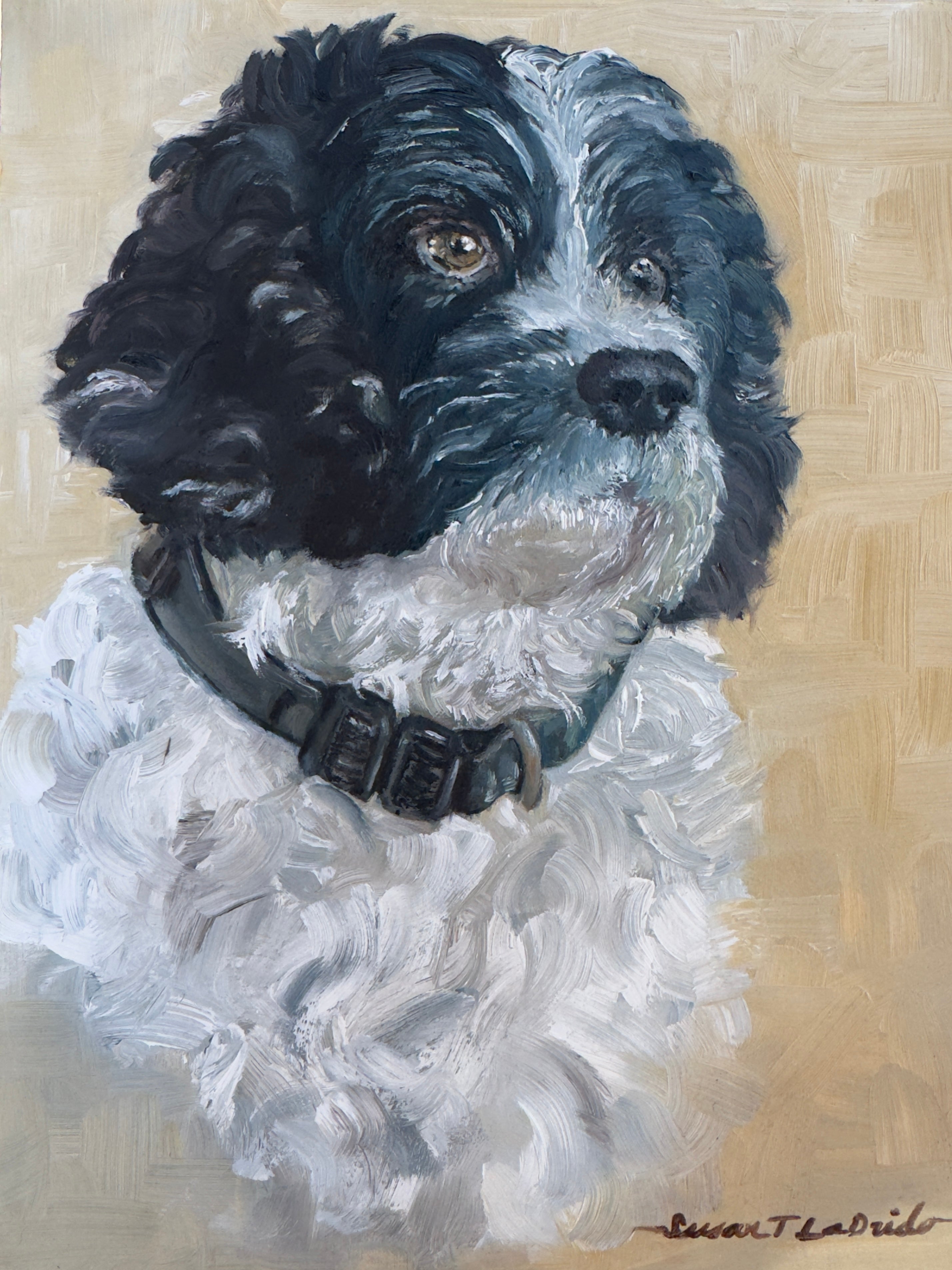 Tuxedo — Original Oil Painting